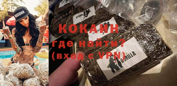 молекула духа Осташков