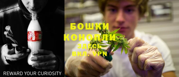 молекула духа Осташков