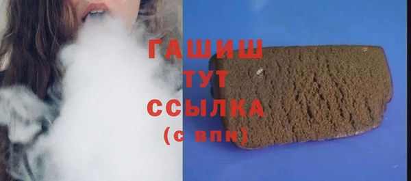 молекула духа Осташков
