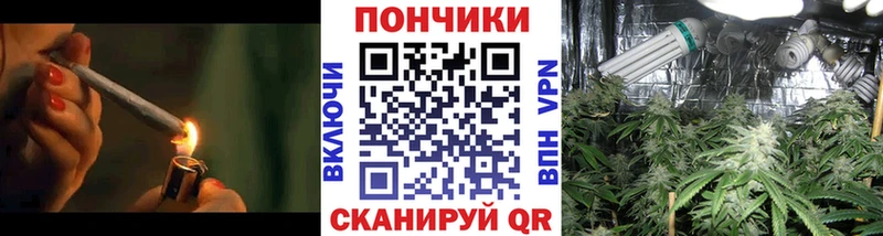 Шишки марихуана марихуана  наркошоп  Краснозаводск 